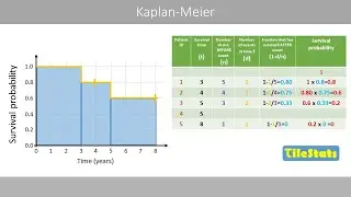 Kaplan Meier curve – explained