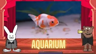 Classical Baby: Aquarium by Oxbridge Baby