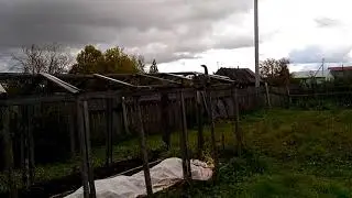 кот в деревне... прикол