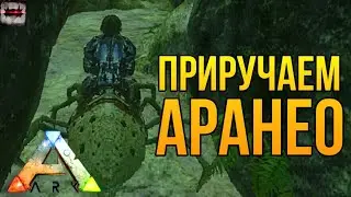 ПРИРУЧАЕМ АРАНЕО! ARK Mobile