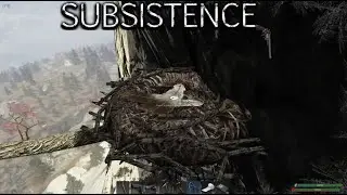 We Got Some Feathers!!  |  Subsistence Gameplay  |  E119
