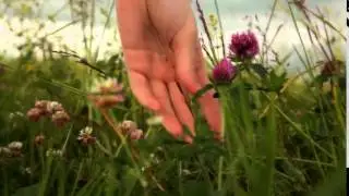 КЛЕВЕР РУКА ФУТАЖ (вырезанный)