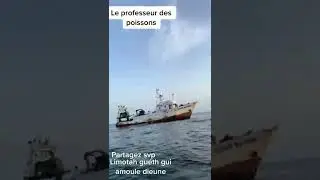 URGENT LI MOY YAKEU NAPEUMI SONKO AU SECOURS 🇸🇳🇸🇳😳