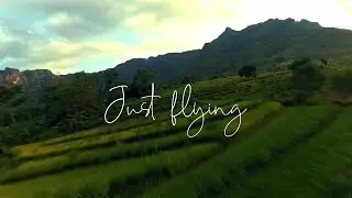 Terbang santuy | fpv freestyle