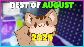 Best of August 2024 | squiresoup