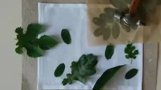 Как сделать печать на ткани живыми листьями