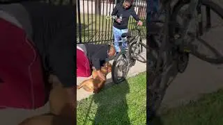 Caiu um cisco no meu olho