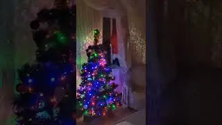 Визит Деда Мороза