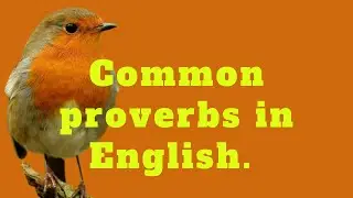 100+ Common  Need - To - Know Proverbs In English.