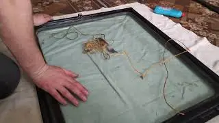 How to insert glass into the frames of the YuMZ cabin