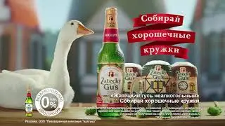Собирай хорошечные кружки!