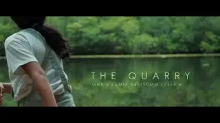 The Quarry (GH5 + LUMIX G VARIO 45-150mm F4.0-5.6 ASPH)
