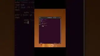 Simple bash script to get positive or negative number in Linux terminal