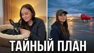 280 Семейное приключение ❤️поход в кино, ужин в ресторане и мой отъезд✈️