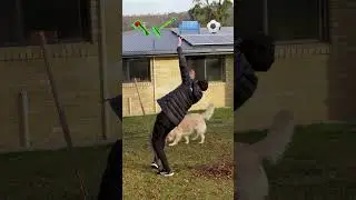 Parkour Challenge with Emojis. Part 30