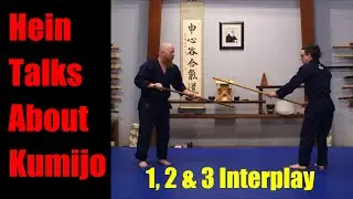 Hein's Kumijo 1 2 and 3 interplay