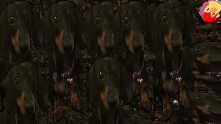 Khonjin Gouse epadidas 6: DoG