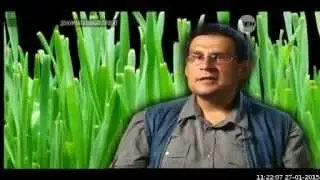 Зелёный Мир : думают ли растения?
