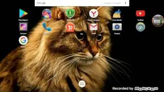 Как взломать Cute Pocket Cat And Puppy 3D