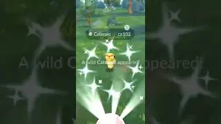 ✨This SHINY Pokemon Caught Me Off Guard in Pokemon Go!✨ #shorts #pokemon