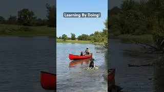 Wirehaired Pointing Griffon | Canoeing & Swimming Session #shorts #huntingdog