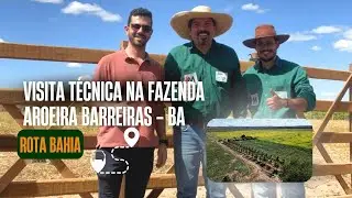 ROTA BAHIA - VISITA NA FAZ  AROEIRA EM BARREIRA - BA