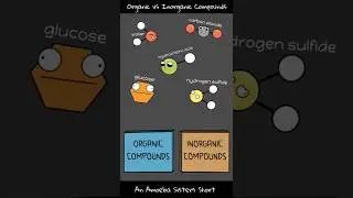 Inorganic vs Organic Compounds- Amoeba Sisters 