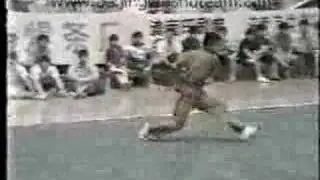 Fujian Dog Boxing - 1986 China Nationals