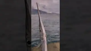 Я его все таки нашел, морская рыбалка на саргана в Крыму.
