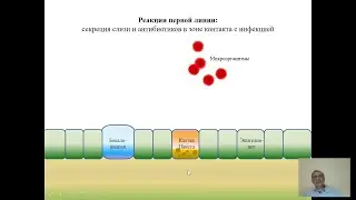 Врождённый иммунитет. 1. Защита границ. Читает Атауллаханов Р. И.