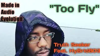 Too Fly Feat. HyBrid803