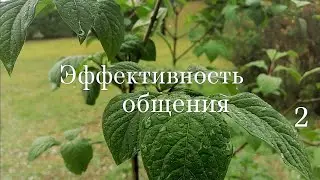 Эффективность общения (здоровье, нумерология и как это работает)