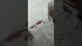 Новая почта!