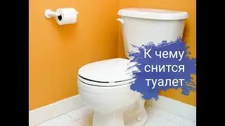 What does it mean to dream about a toilet? Irina's dream interpretation.