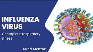 Influenza || Types of Influenza viruses || Causes, Symptoms, Diagnoses and Treatment || Microbiology