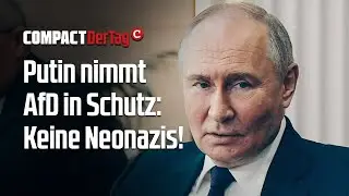 Putin nimmt AfD in Schutz: Keine Neonazis!💥