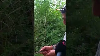 Yılanlara fısıldayan adam, bakmaya bile korkanlar varken cesaretiyle sınırları zorladı