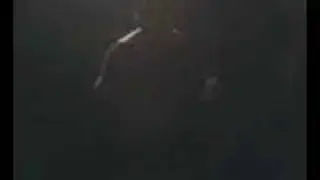 elo wey jeje