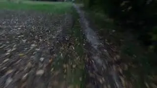GoPro Hero 12 Black SDR: Wenig Tageslicht