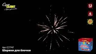 СС7747 2021