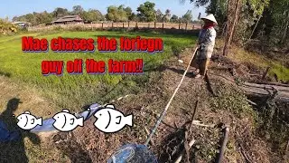 Let's visit Mae on the farm. The crazy lady cometh.