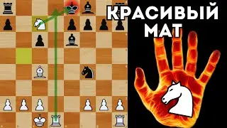 Красивый мат в Скандинавской защите. Шахматы