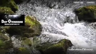 Best Relaxation music. Forest. Deep Overground
