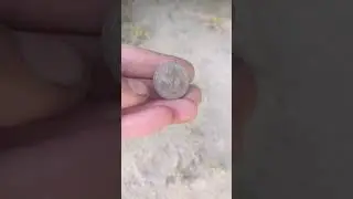 пуговица