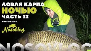 Ловля карпа ночью, А. Колесников, часть II