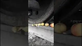 Яблоки против локомотива