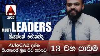 AutoCAD Basic Tutorial (Sinhala)- Part 13 -  How to add Leaders | Multileader | Multileader Style