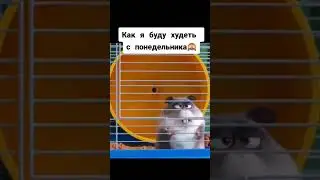 #диета
