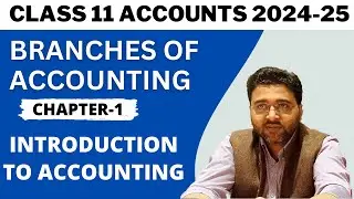 Branches of Accounting | Class 11 Accounts 2024-25 | Ch 1 Introduction to Accounting