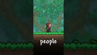 Terraria things that get on my nerves...
